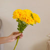 Chrysanthemum Flower Yellow Set Of 5