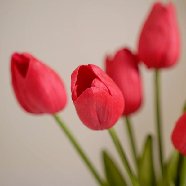 Tulip Flower Red Set Of 9