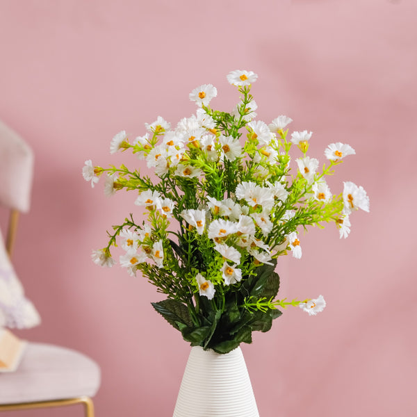 Chrysanthemum Bud Stem