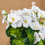 Begonia Flower Stem - Artificial flower | Home decor item | Room decoration item