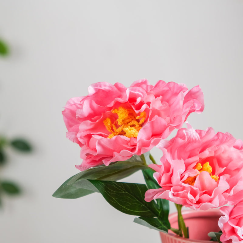 Colorful Peony Stems - Artificial flower | Home decor item | Room decoration item