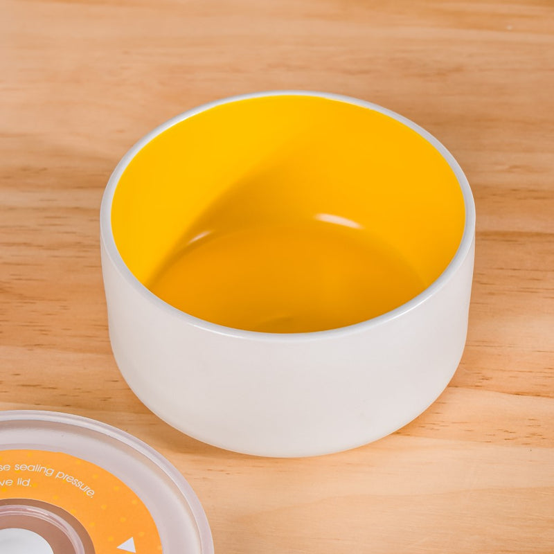 Ceramic Lunch Box Medium - Lunch box