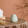 Chromatic Vase - Flower vase for home decor, office and gifting | Home decoration items