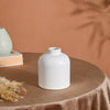 Chromatic Vase - Flower vase for home decor, office and gifting | Home decoration items