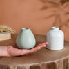 Chromatic Vase - Flower vase for home decor, office and gifting | Home decoration items