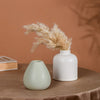 Chromatic Vase - Flower vase for home decor, office and gifting | Home decoration items