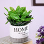 Circular Plant Pot - Artificial flower | Home decor item | Room decoration item