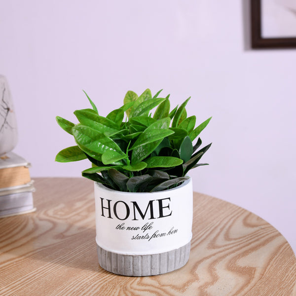 Circular Plant Pot - Artificial flower | Home decor item | Room decoration item