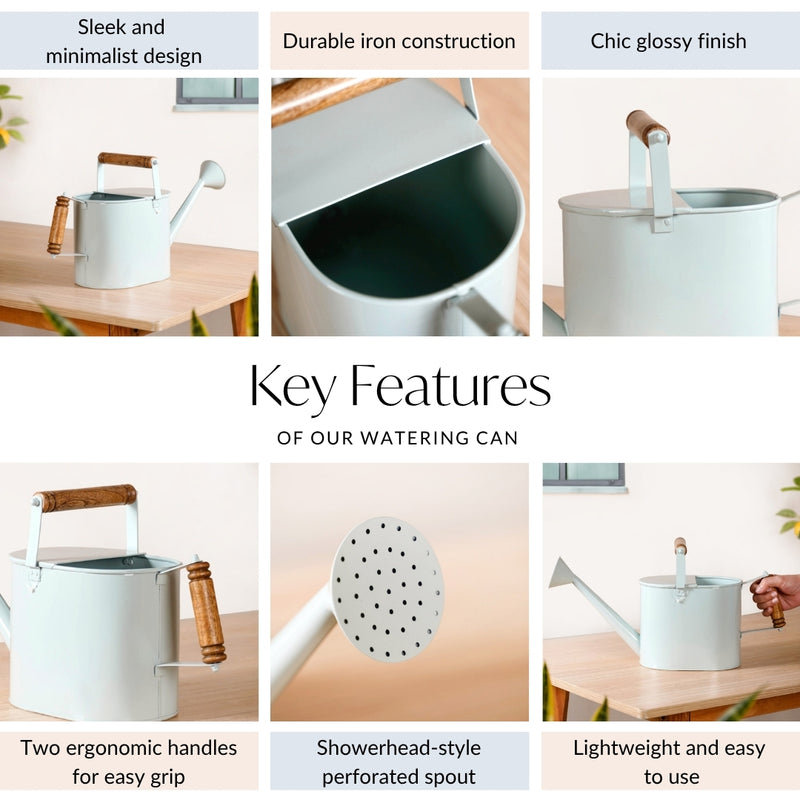 Dual Wooden Handle Metal Watering Can With Glossy Finish Blue