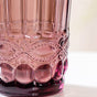 Purple Double Wall Drinking Glass Set of 4