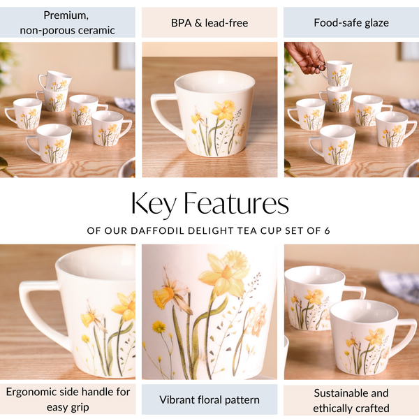 Daffodil Delight Tea Cup Set Of 6 150ml