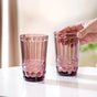 Purple Double Wall Drinking Glass Set of 4