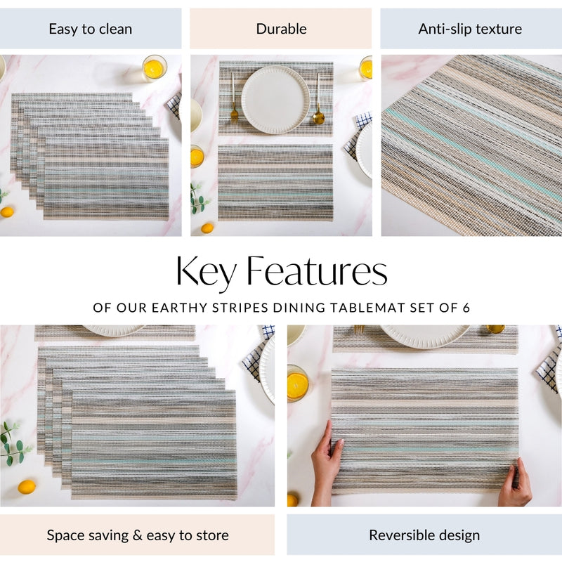 Earthy Stripes Dining Tablemat Set Of 6
