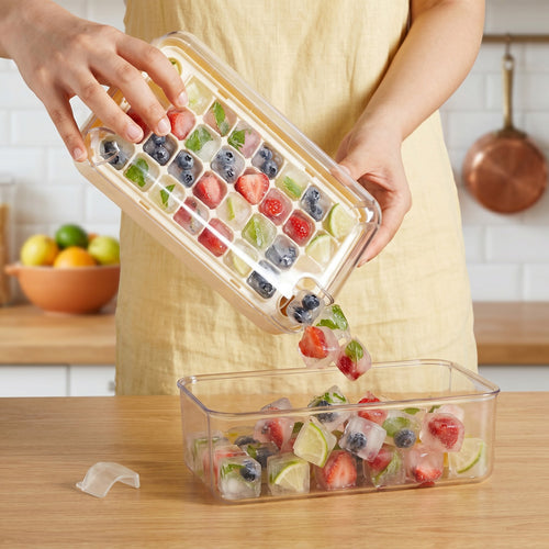 Easy Release Ice Cube Tray With Lid Bin And Scoop