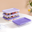 Set Of 4 Shallow Borosilicate Glass Food Storage Container 700ml