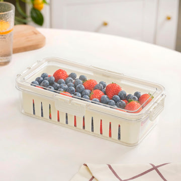 FreshGrid Airtight Fridge Storage Box