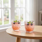 Basket Weave Glass Tumbler Set Of 6 260ml