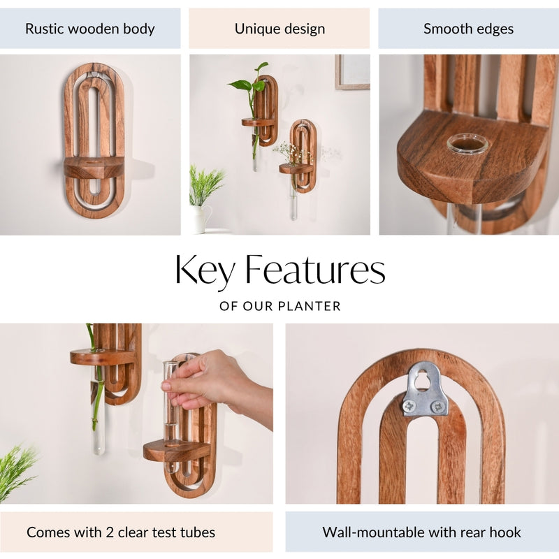 Acacia Wall Hanging Test Tube Planter Duo