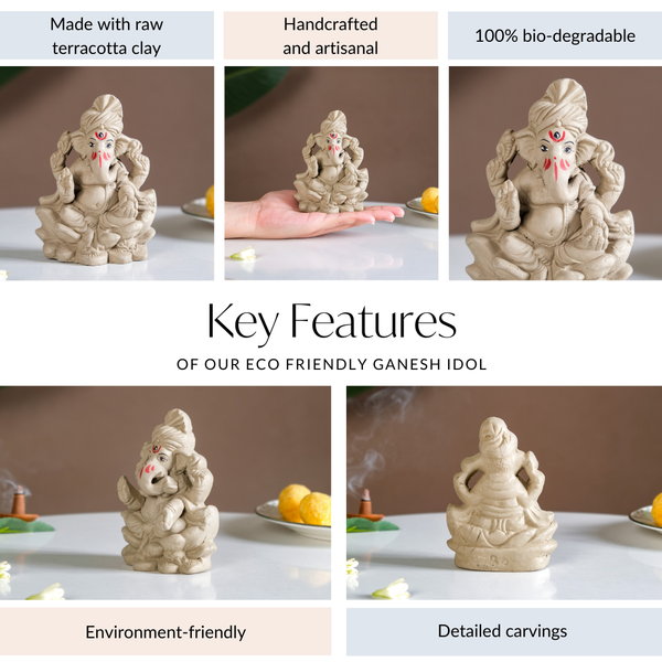 Eco Friendly Ganesh Idol