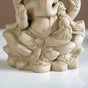 Eco Friendly Ganesh Idol