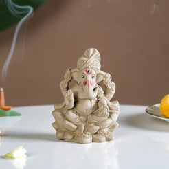 Eco Friendly Ganesh Idol