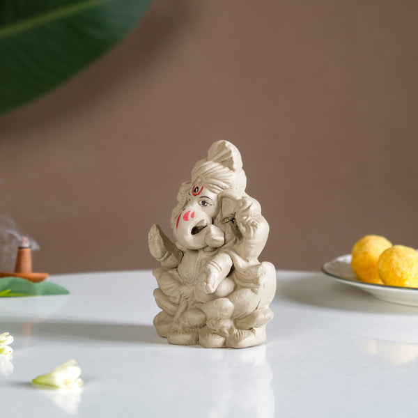 Eco Friendly Ganesh Idol