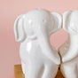 Elephant Salt And Pepper Shakers With Stand