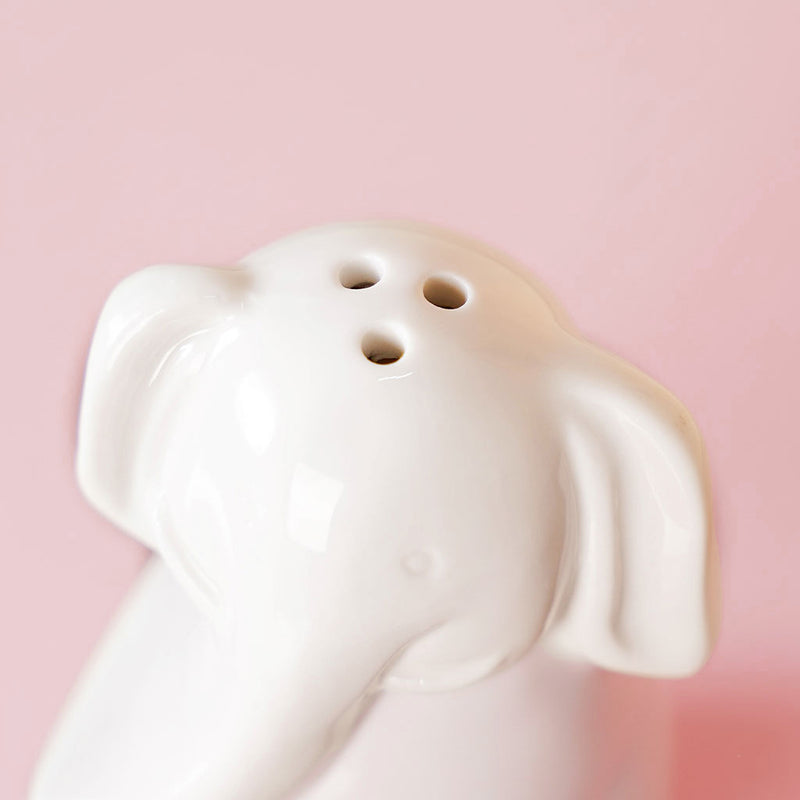 Elephant Salt And Pepper Shakers With Stand