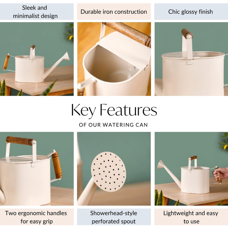 Glossy Finish Metal Plant Watering Can With Dual Wooden Handle