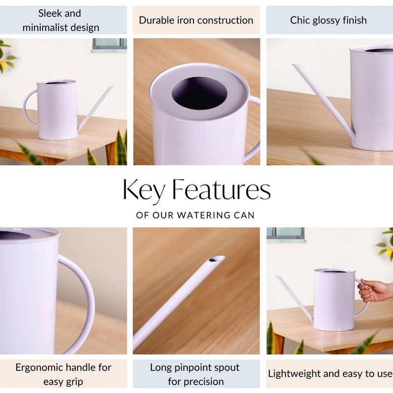 Glossy Finish Metal Watering Can Purple