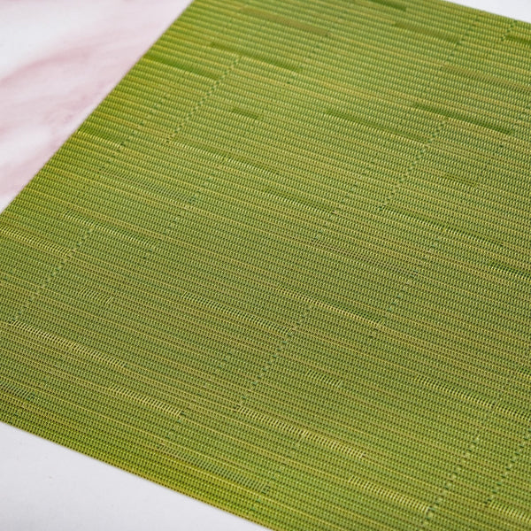 Green Textured Easy Clean Tablemat Set Of 6