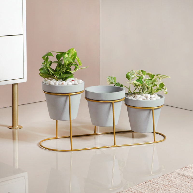Grey Triple Planter With Gold Metal Stand