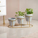 Grey Triple Planter With Gold Metal Stand