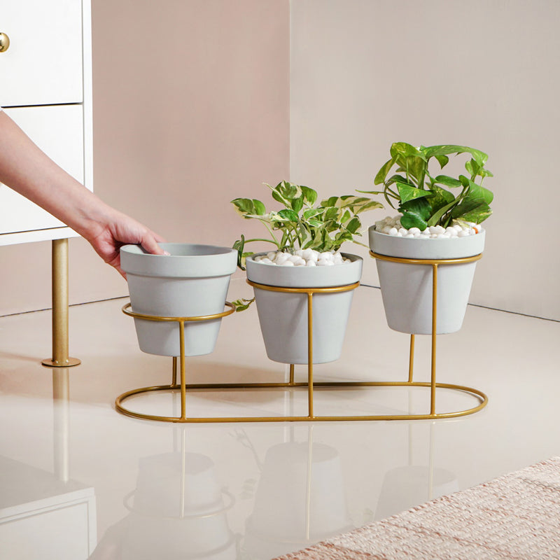 Grey Triple Planter With Gold Metal Stand