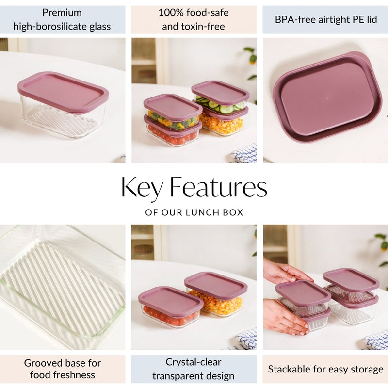 Groovo Food Container Set Of 4 M 520ml L 750ml