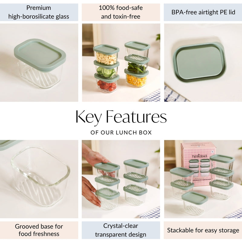 Groovo Transparent Food Storage Container Set Of 6 310ml