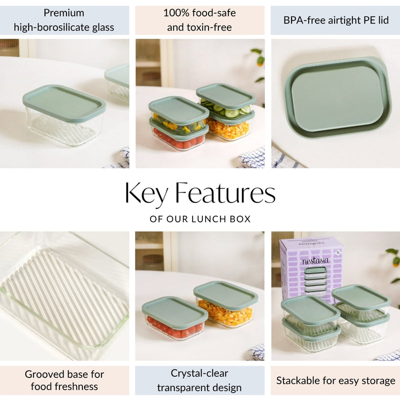 Groovo Storage Container Set Of 4 Sage Green M 520ml L 750ml