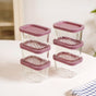Groovo Food Storage Container Set Of 6 310ml
