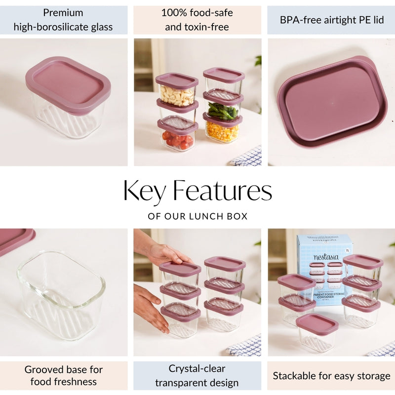 Groovo Food Storage Container Set Of 6 310ml