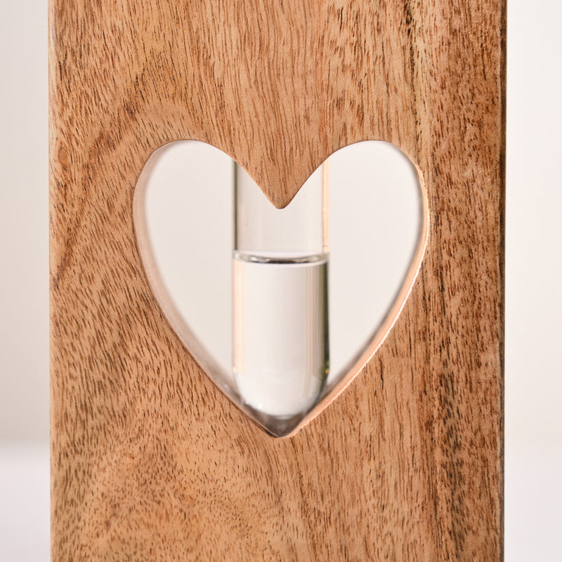Heart Shaped Money Planter Pair With Removable Test Tubes