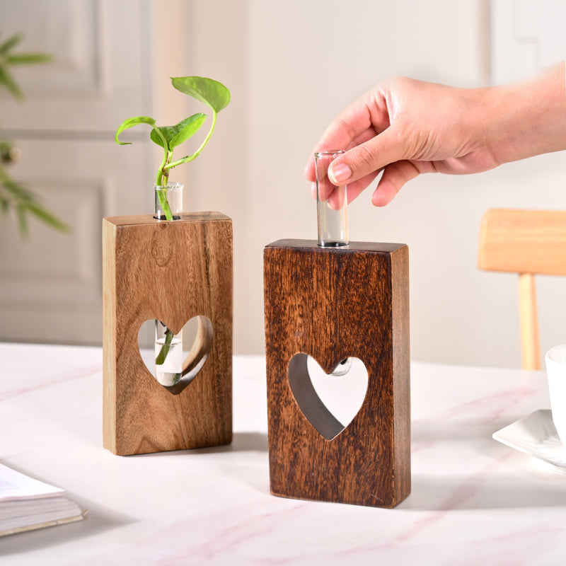 Heart Shaped Money Planter Pair With Removable Test Tubes