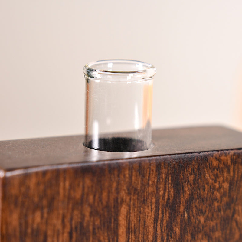 Heart Shaped Money Planter Pair With Removable Test Tubes