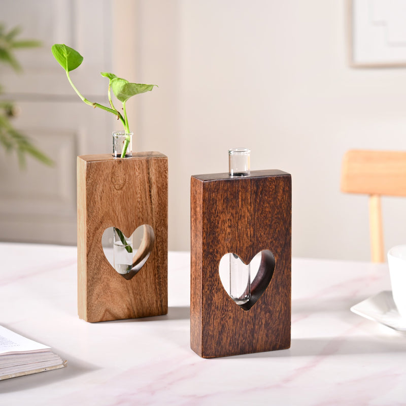 Heart Shaped Money Planter Pair With Removable Test Tubes