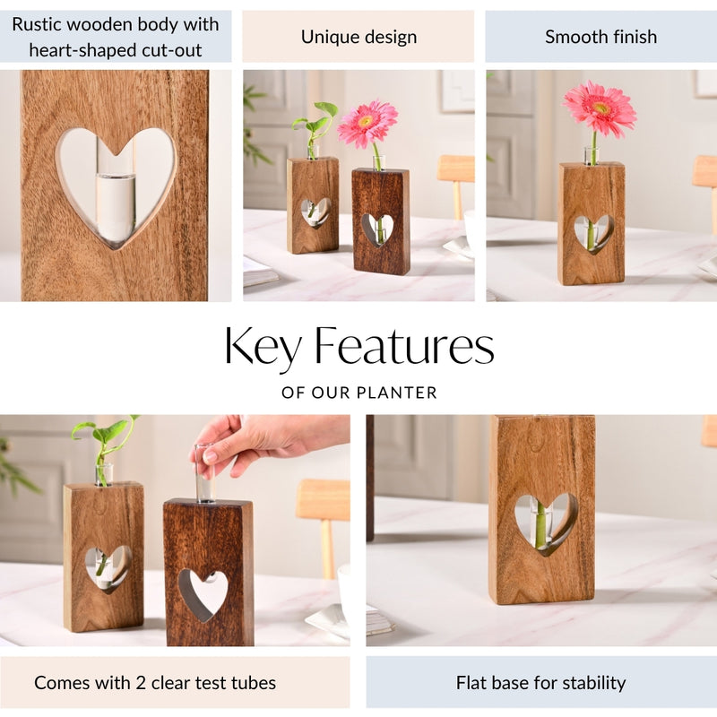 Heart Shaped Planter Pair With Removable Test Tubes