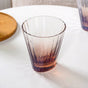 Helios Ombre Glass Tumbler Set Of 2 300ml