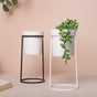 Large Planter - Plant pot and plant stands | Room decor items