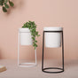 Large Planter - Plant pot and plant stands | Room decor items