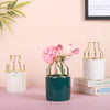Medium Size Ceramic Pot for Plants - Flower vase for home decor, office and gifting | Home decoration items