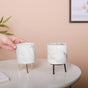 Marble Ceramic Indoor Planter