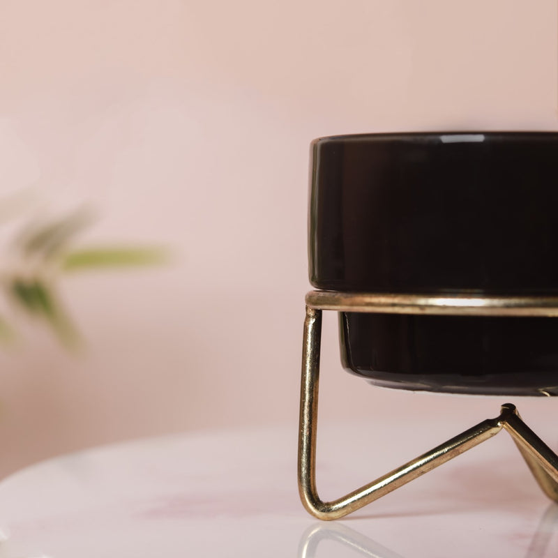 Small Flower Pot - Indoor planters and flower pots | Home decor items